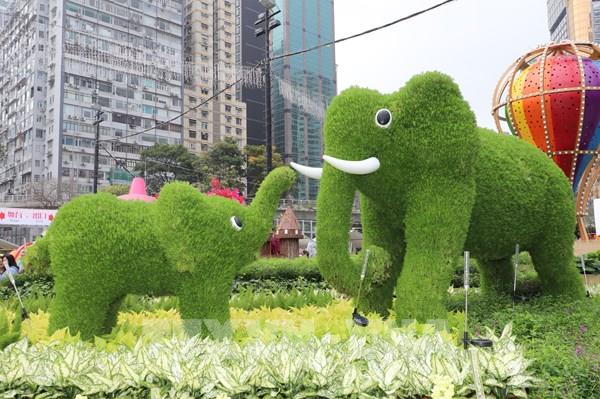 2024年香港花卉展（中國）絢麗色彩