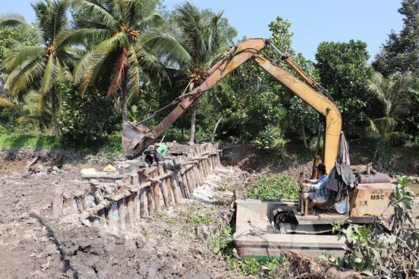 Phòng chống hạn, mặn: "Vương quốc" sầu riêng ứng phó với xâm nhập mặn
