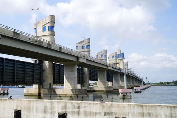 Xâm nhập mặn bủa vây Đồng bằng sông Cửu Long *Bài 2: Chủ động trữ, chia sẻ nước ngọt