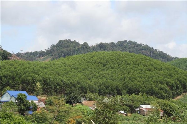 Cơ hội mới cho thị trường carbon
