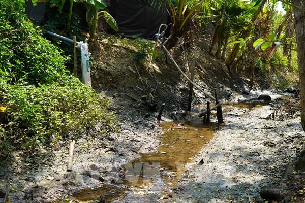  Xâm nhập mặn sẽ không ảnh hưởng sản xuất nông nghiệp từ tháng 6