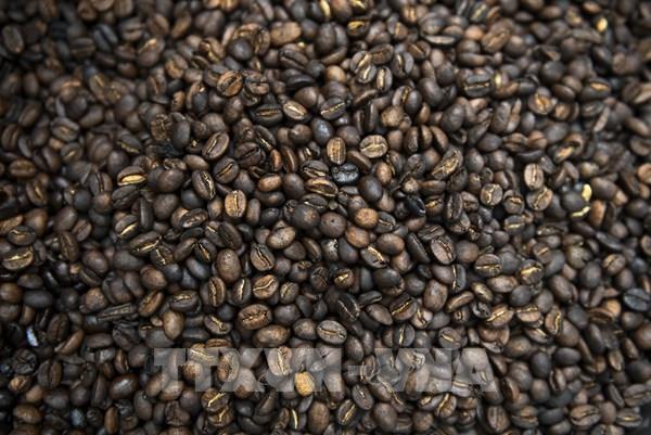 Tầng lớp trung lưu tại châu Á gia tăng đẩy giá cà phê áp sát mức cao kỷ lục