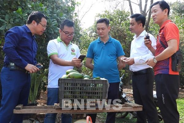 Vươn lên từ nông nghiệp số