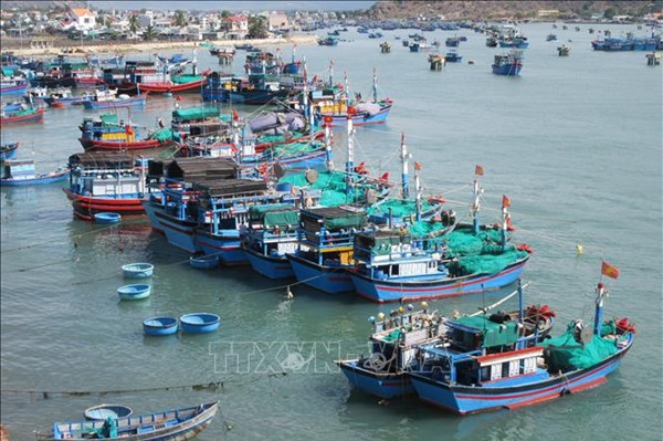 EC dự kiến sang Việt Nam kiểm tra IUU vào tháng 9 hoặc tháng 10/2024