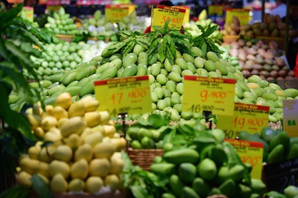 Khai mạc Tuần Lễ Xoài các tỉnh Đồng bằng sông Cửu Long năm 2024