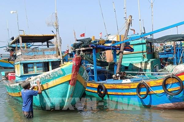 Bà Rịa-Vũng Tàu cấp số tạm cho tàu cá “3 không”