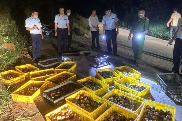 Ngăn chặn, xử lý các vụ nhập khẩu trái phép gia cầm