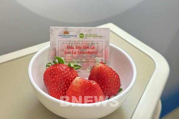 Dâu tây Mộc Châu “bay” cùng Vietnam Airlines