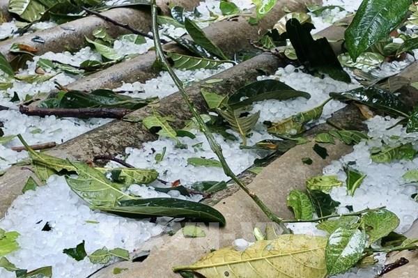 Yên Bái: Xuất hiện cơn mưa đá kèm theo dông lốc