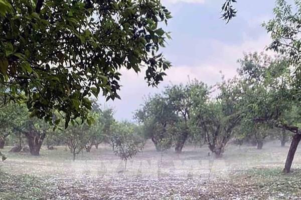 Các tỉnh thành từ Thanh Hóa đến Bình Thuận tiếp tục cảnh báo mưa đá