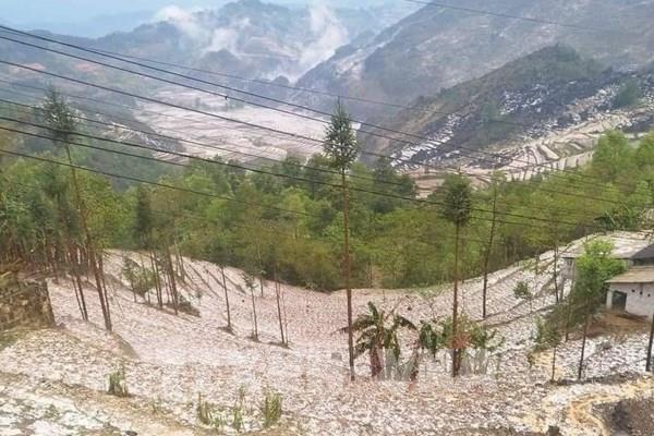 Dự báo thời tiết hôm nay 29/3: Nhiều nơi mưa, dông, có thể xảy ra lốc, sét, mưa đá 