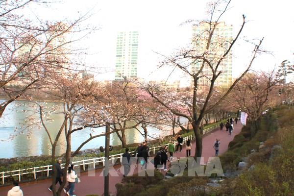 Khách du lịch quốc tế đến "xứ Kim chi" tăng mạnh