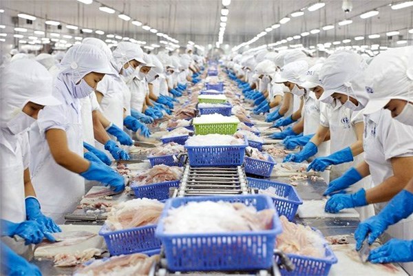 Agribank tiếp tục dành 8.000 tỷ đồng cho vay ưu đãi lĩnh vực lâm, thủy sản