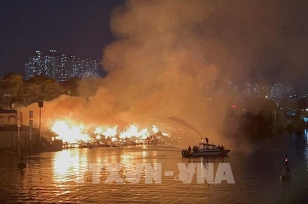 5 tháng đầu năm 2024, Thành phố Hồ Chí Minh xảy ra hơn 230 vụ cháy