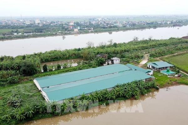 Bổ sung mức xử phạt vi phạm hành chính trong phòng, chống thiên tai, thủy lợi, đê điều