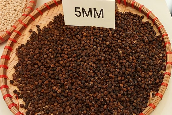 Nguồn cung giảm, giá hồ tiêu tiếp tục tăng