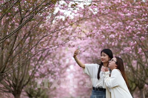 Quyến rũ mùa hoa xuân ở Trung Quốc