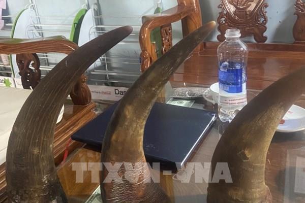 Bình Dương bắt giữ nhóm đối tượng lừa bán đá thiên thạch và sừng tê giác