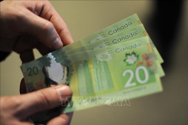 Ngân hàng trung ương Canada sẽ hạ lãi suất vào cuối quý II/2024