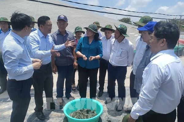 Bến Tre hỗ trợ nông dân phát triển kinh tế