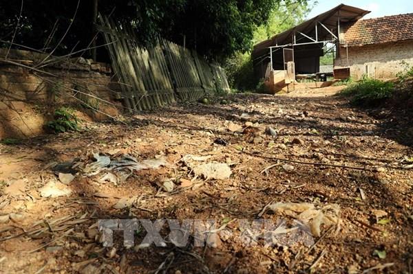 Cần khắc phục sai phạm trong dồn điền đổi thửa tại Phú Sơn - Ba Vì