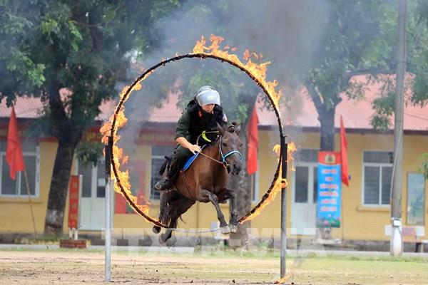 Mãn nhãn với màn biểu diễn của kỵ binh