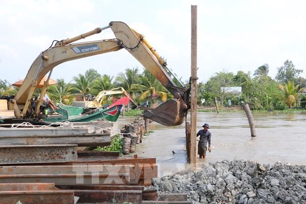 Lần thứ 2, hàng nghìn ha đất sản xuất tại Sóc Trăng bị ảnh hưởng do sạt lở cống