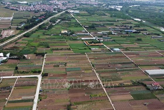 Hoàn thành 4/5 nhiệm vụ làm sạch dữ liệu đất đai