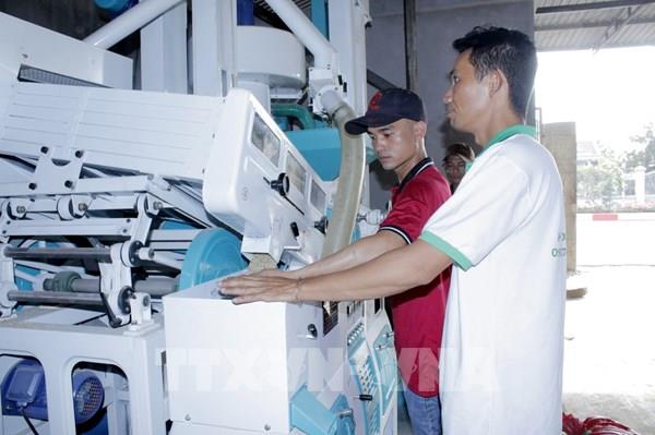 Gia tăng giá trị sản phẩm nhờ cơ giới hóa nông nghiệp