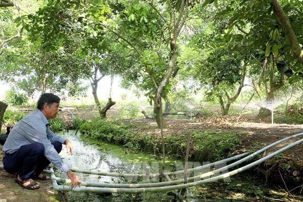 Hạn mặn ở Nam Bộ - Hành động khẩn cấp từ địa phương