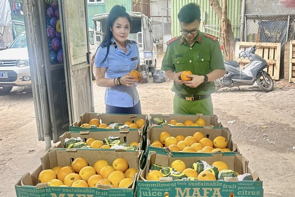 Thu giữ gần nửa tấn hoa quả có dấu hiệu nhập lậu 