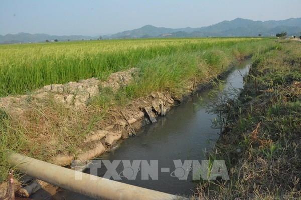 Vụ nghiệm thu "khống" công trình thủy lợi ở Đắk Lắk: “Con voi suýt chui lọt lỗ kim”