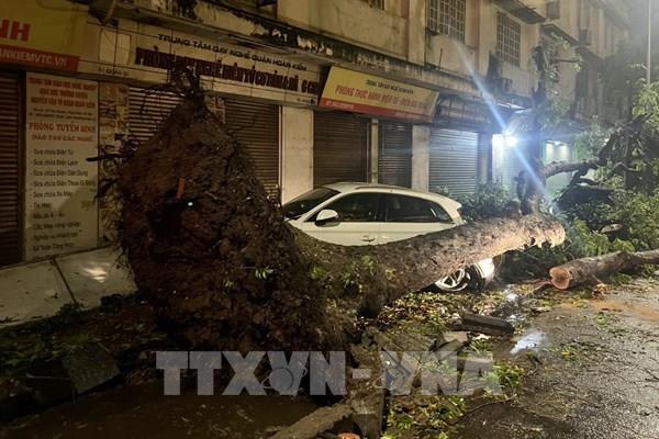 Hà Nội mưa giông cực lớn, cây cối gãy đổ la liệt