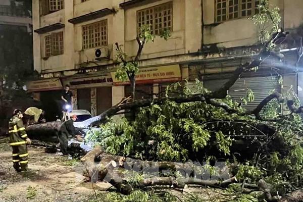 Hà Nội: Khắc phục hậu quả hơn 400 cây xanh bị gãy, đổ, nghiêng sau trận mưa giông tối 20/4
