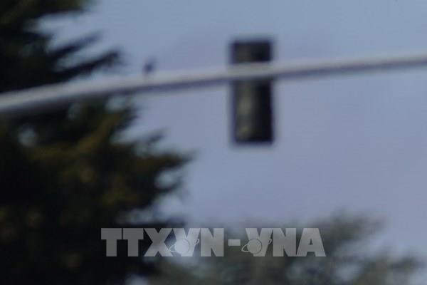 Tesla hạ giá bán xe tại Trung Quốc