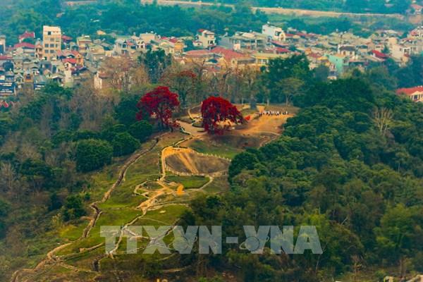 Ngắm thung lũng Mường Thanh từ trên cao