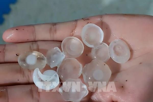 Mưa đá dữ dội trút xuống Lào Cai