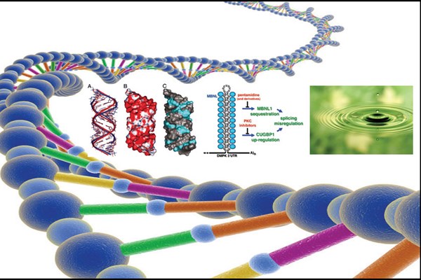 Liệu pháp tế bào gốc điều trị bệnh thoái hóa thần kinh