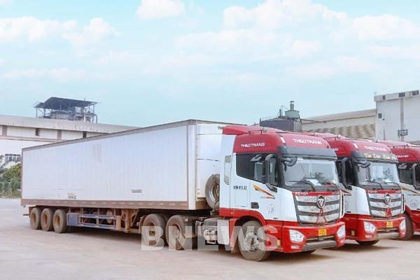 THILOGI đẩy mạnh vận chuyển nông sản xuyên biên giới phục vụ khách hàng