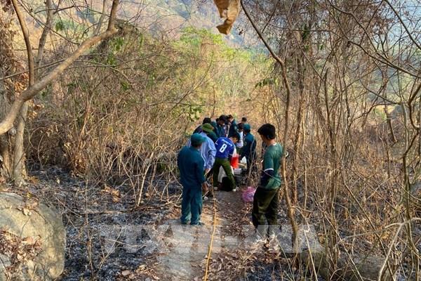 An Giang: Khống chế được vụ cháy rừng trên núi Cô Tô