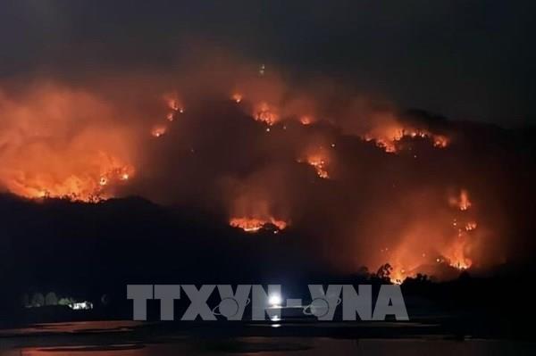 Thủ tướng Chính phủ yêu cầu tăng cường triển khai các biện pháp cấp bách phòng cháy, chữa cháy rừng