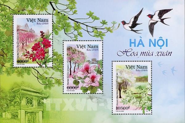 Hà Nội đẹp như tranh với những mùa hoa