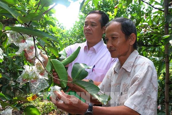 Nguồn vốn tín dụng chính sách: "Điểm tựa” phát triển sinh kế