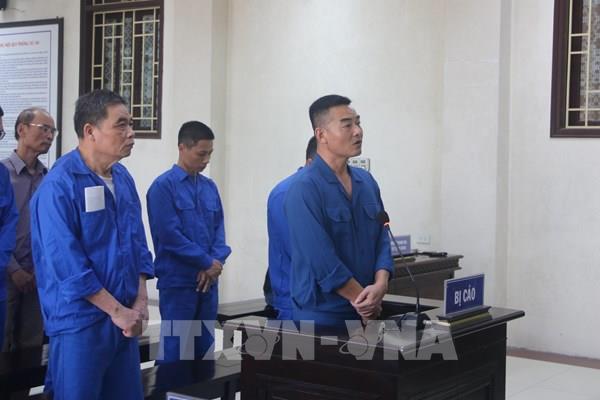 Thái Bình: Xét xử 11 bị cáo thuộc Trung tâm Đăng kiểm xe cơ giới 17-02D