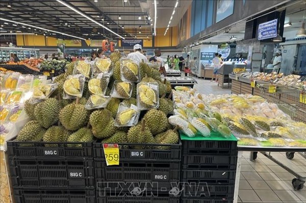 Thái Lan: Nắng nóng tàn phá các trang trại sầu riêng 