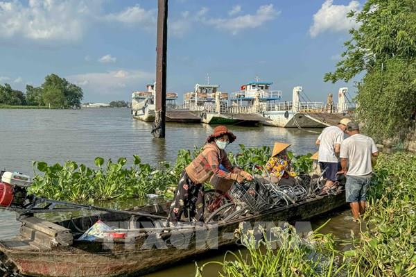 Đò ngang Cần Thơ – Vĩnh Long lúc hoạt động, lúc dừng gây nhiều bức xúc