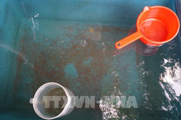 Phản hồi thông tin TTXVN: Đà Nẵng yêu cầu đảm bảo nước sinh hoạt cho người dân xã Hòa Bắc