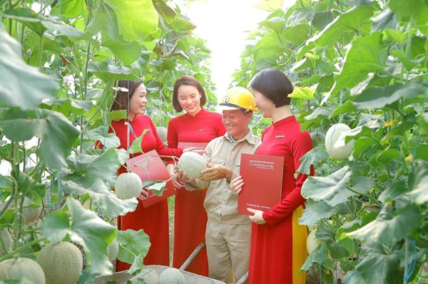 Agribank triển khai 10 chương trình tín dụng lãi suất thấp