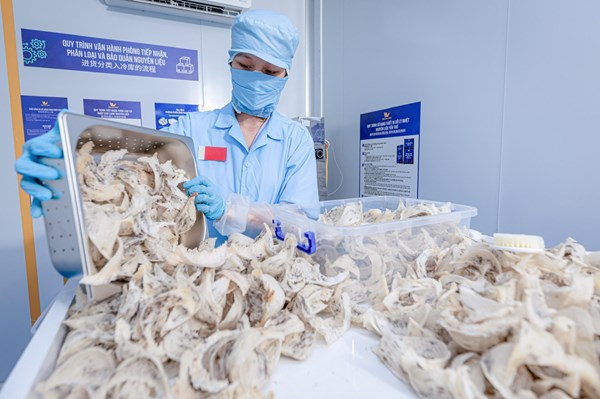  Yến sào Việt Nam chinh phục thị trường Pháp