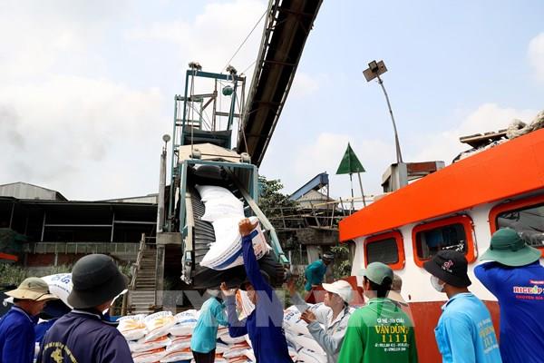 Nắm bắt chính sách để duy trì vị trí xuất khẩu gạo số 1 tại Philippines